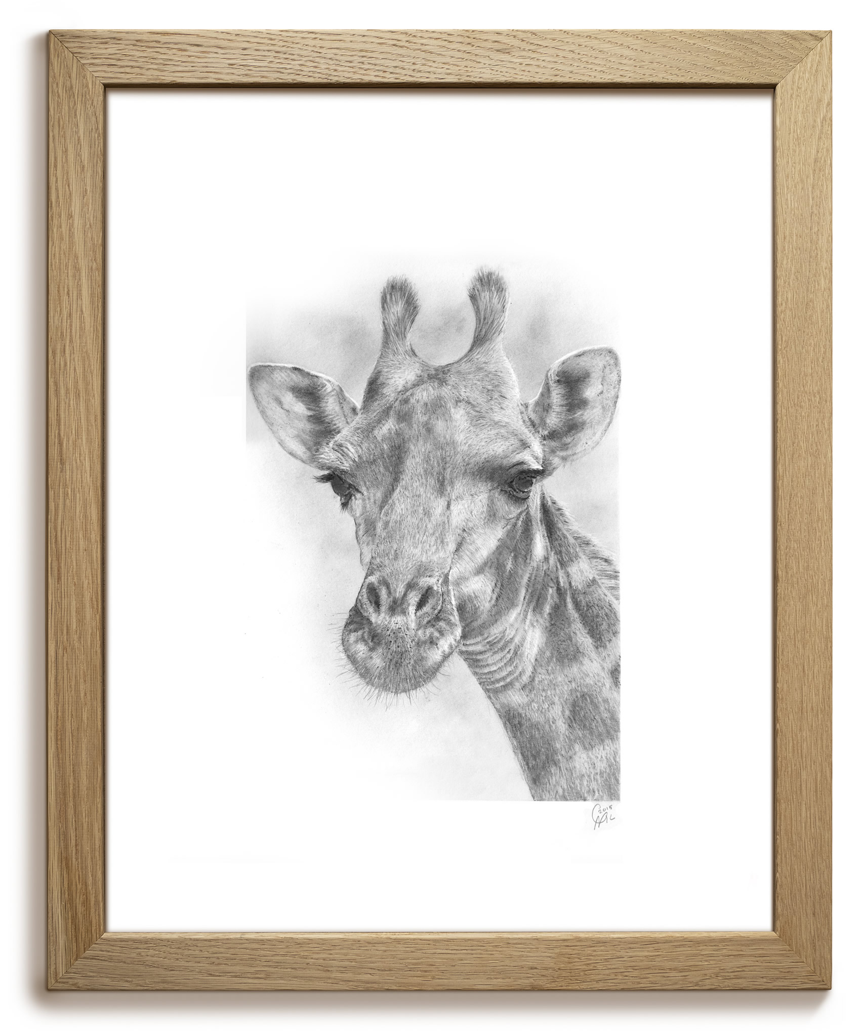 Giraffe Framed Original Pencil Drawing