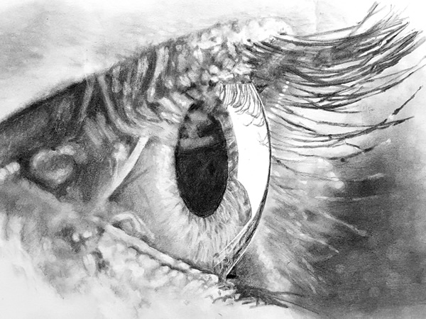 Eye close up pencil drawing